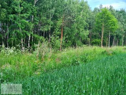 Działka budowlana na sprzedaż, 3000 m2, Dalików