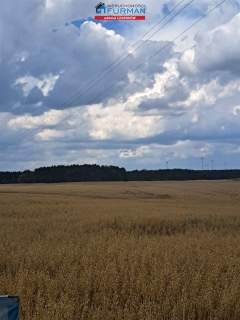 działka na sprzedaż w Sarbii gmina Czarnków
