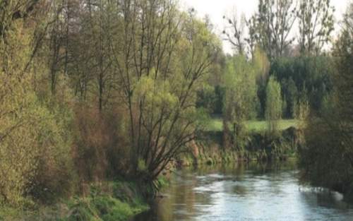 NAD RZEKĄ BZURĄ