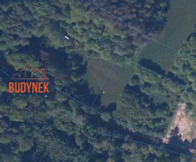 Działka siedliskowa - Paproty