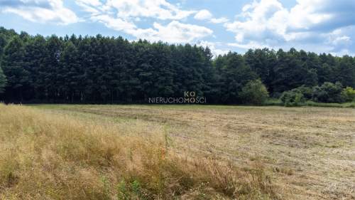 Nie przegap / Przy lesie / Budowlana z MPZP / 16ar