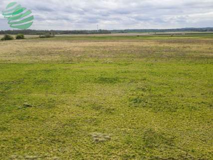 Działka budowlana na sprzedaż Jezierzany 797m2