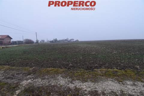 Działka 6200 m2, Potok Mały, gm. Jędrzejów