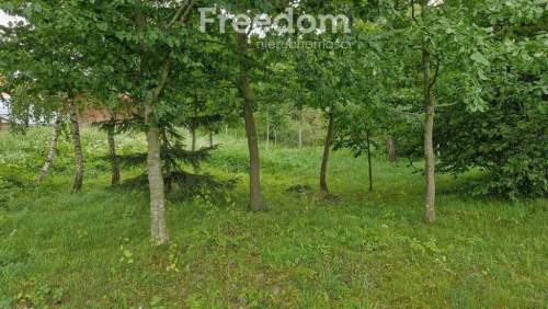Działka 3 217 m   cisza i las w zasięgu