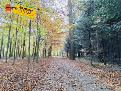 Działka budowlana Tarnów