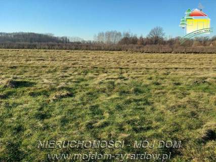 Działka budowlana na sprzedaż, 3000 m2, Aleksandria
