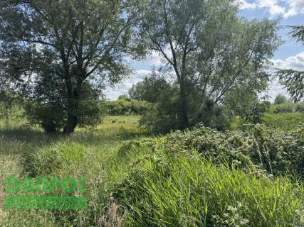 Dołuje, działka 3.100m2, 180.000,- zł