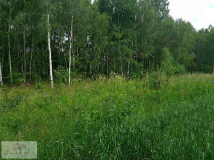 Działka budowlana na sprzedaż, 1500 m2, Dalików
