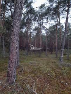 Działka leśna na sprzedaż, 29211 m2, Patoki