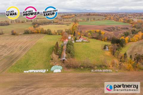 Agroturystyka- Działalność Rolnicza- Stadnina Koni