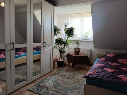 Nowy właściciel poszukiwany Braniewo.