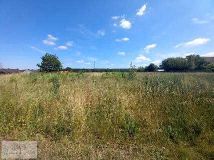 Działka budowlana z lasem Koluszki Borowa 9880m2