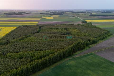 Las, działka leśna, 5,5 ha