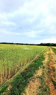 Działka budowlana na sprzedaż, 22700 m2, Sędziejowice-Kolonia