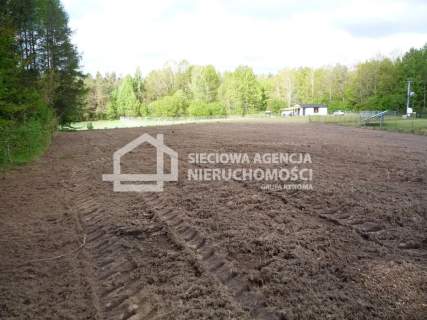 Działka rolna 5601 m2, Kobylasz / Linia