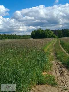 Działka rolna na sprzedaż, 1350 m2, Dalików