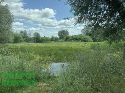 Dołuje, działka 3.100m2, 180.000,- zł