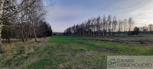 Działka 10 a pod lasem Toporowice gm. Mierzęcice