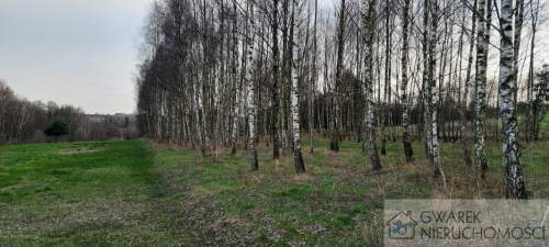 Działka 10 a pod lasem Toporowice gm. Mierzęcice