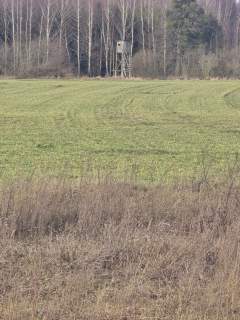 Działka na sprzedaż - Harsz 1