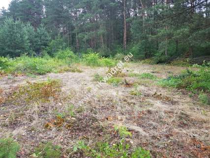 Okolice Grodziska Maz 1600m2 od mkwadrat.eu