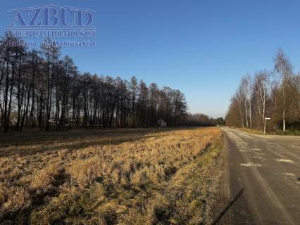 Działka budowlana na sprzedaż, 1709 m2, Rybno Wielkie