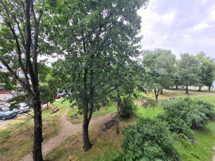 OKAZJA-Ok Sky Towera-Media Miejskie-Balkon-Piwnica