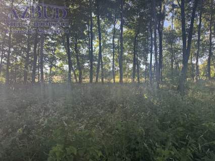 Działka budowlana na sprzedaż, 1709 m2, Rybno Wielkie