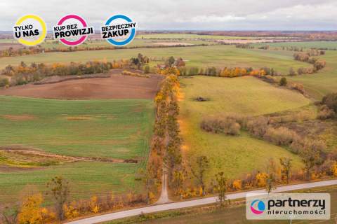 Agroturystyka- Działalność Rolnicza- Stadnina Koni