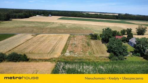Działka na sprzedaż - Skęczniew