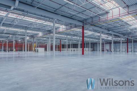Magazyn 8100m2 WAWER PANATTONI 0%