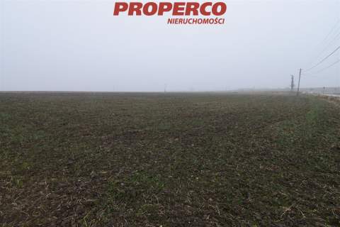 Działka 6200 m2, Potok Mały, gm. Jędrzejów