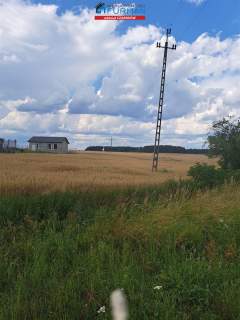 działka na sprzedaż w Sarbii gmina Czarnków