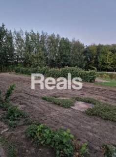 Dom 100 m2 murowana stodoła 250 m2