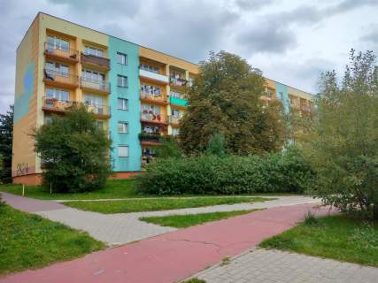 Kawalerka na Uroczysku