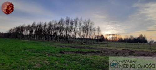 Działka 10 a pod lasem Toporowice gm. Mierzęcice
