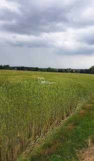 Działka budowlana na sprzedaż, 22700 m2, Sędziejowice-Kolonia