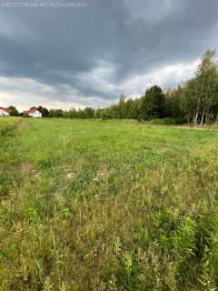 Wilanów, Powsin, MPZP, wolnostojąca