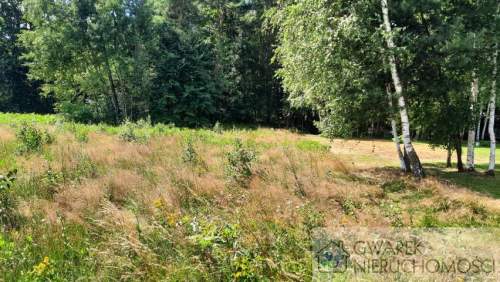 Działka 10 a koło lasku Zendek gm. Ożarowice