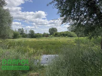Dołuje, działka 3.100m2, 180.000,- zł