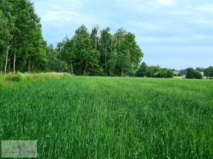 Działka budowlana na sprzedaż, 1500 m2, Dalików