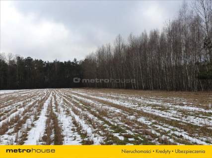 Działki na terenie lasów i zalesień w Wojnowie