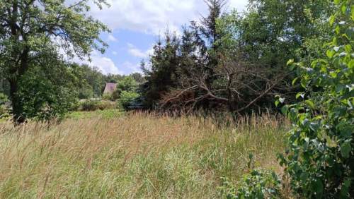 Kotowice, 1600 m2 z domem, woda, prąd, poma ciepła