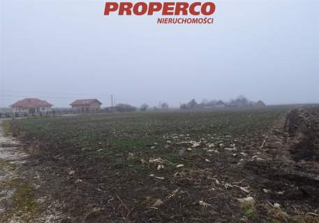 Działka 6200 m2, Potok Mały, gm. Jędrzejów