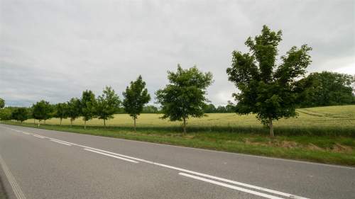 Działka - Kupin