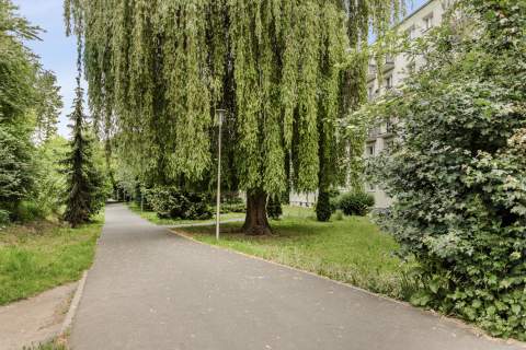 Sołacz - Jeżyce / Przestronne /Zielona okolica/3 pok./63,3m2