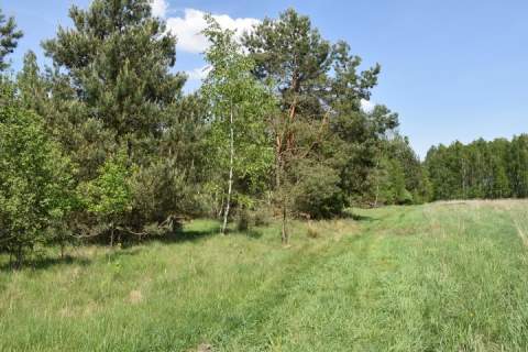 Działka budowlana na sprzedaż, 1120 m2, Mrozy