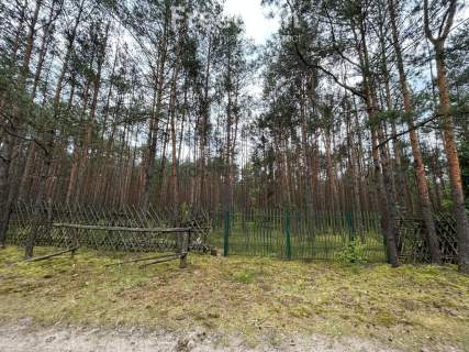 Działka budowlana z własnym lasem