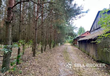 Działka / siedlisko 35 min. od Wawy - 31 439 m2
