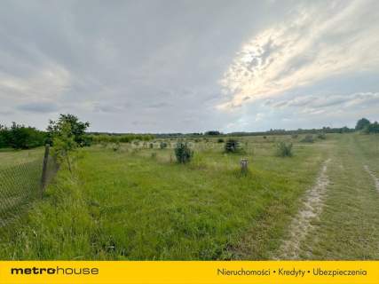 5 ha w jednym kawałku - Potycz, 40 km od Warszawy
